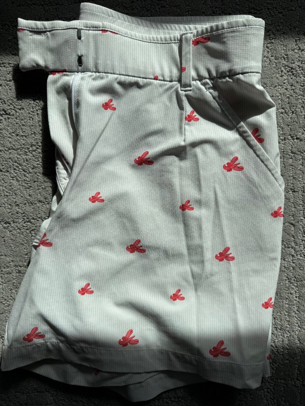Nike DryFit golf shorts